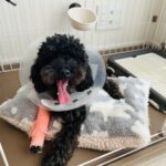 骨折から始まる介護！仕事と家庭の両立に備える方法