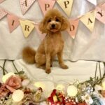 いつかそのうち「誕生月」からはじめよう