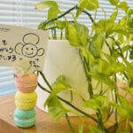 「何かあっても大丈夫」 ともえみ流でいきましょう！