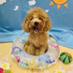ツブラ退院で感じた「もしもの備え」の大切さ