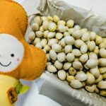 子宝ぎんなんと、心ゆたかに生きるコツ