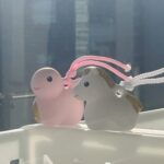 「毎日が楽しい」を  選び続ける一年へ